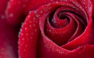 La magie rouge amour
