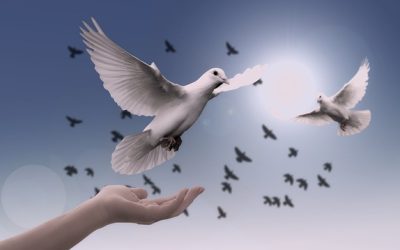 Le rôle de la confiance et de l’intention dans la réconciliation