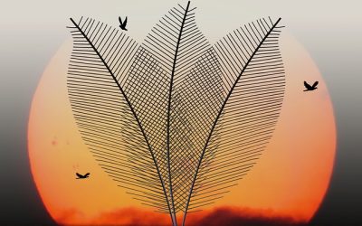 Trouver l’âme sœur